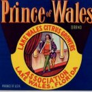 Prince of Wales Lake Wales Florida Citrus Box Label