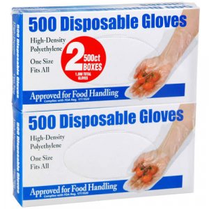 500 Disposable Gloves  (2 Pack / 500 ct. each)