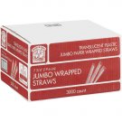 Jumbo Wrapped Straws  (3000ct)