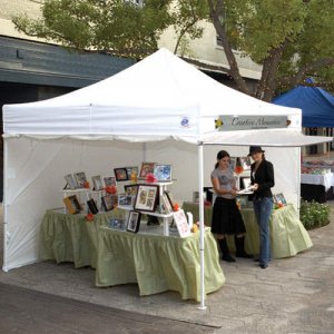 Instant Shelter Canopy  (10' x 10')
