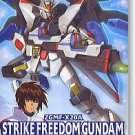 1/100 MG Strike Freedom Gundam SEED Destiny No.9