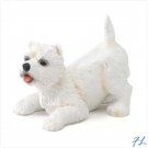 WEST HIGHLAND TERRIER PUPPY - 36993