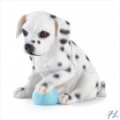 ALAB DALMATIAN PUPPY - 36994