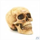 GRINNING SKULL FIGURINE - 36245