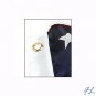 AMERICAN FLAG - PP2421