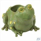 FROG CONTAINER - 37757