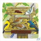 BACKYARD BIRDFEEDER PLAQUE - 38267