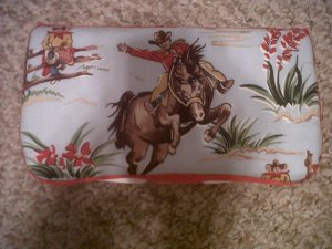 Cowboy themed wipe case