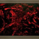 Blood