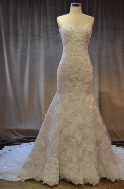 Darius Cordell Strapless Lace Wedding Dresses, Lace Bridal Gowns