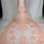 C2021-DionysiaRS - Long sleeve pastel blush plus size wedding gown