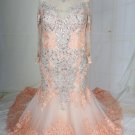 C2021-DionysiaRS - Long sleeve pastel blush plus size wedding gown