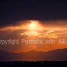Great Salt Lake Portrait, Photograph16 x 20 Canvas by Portraits with Allison