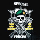 Special Forces Flag 3' x 5' Flag