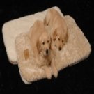 PRECISION SNOOZZY COZY SLEEP TIGHT 23X16