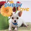 Puppy Love 2009 16 Month Wall Calendar