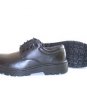 safety shoes(Do-0010)