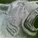 Lioness