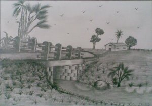 Lanscape
