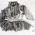 Feel