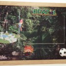 Brazil Picture/Photo Frame 11-551 Brazil Picture/Photo Frame 11-551