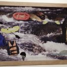 White Water Rafting Picture/Photo Frame 8162