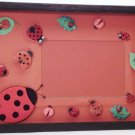 Ladybugs Picture/Photo Frame 9253