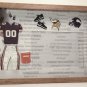 Minnesota Pro Football Picture/Photo Frame 10-173