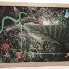 Jungle Picture/Photo Frame 9250