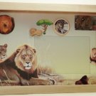 Lions Picture/Photo Frame 25-003