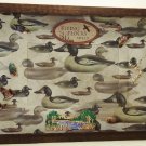 Ducks Picture/Photo Frame 9268