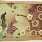 Sunflowers Picture/Photo Frame 8199
