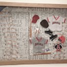 Anaheim Pro Baseball Picture/Photo Frame 10-015