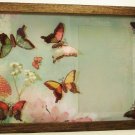 Butterfly Picture/Photo Frame 9276