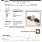 Ladies White Gold Ring with.1 Carat Center Diamond