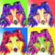 Dog Pop Art Prints