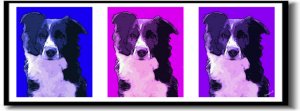 Original Pop Art Border Collie Dog Huge Panoramic Print