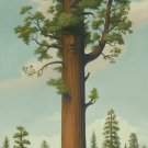 Mark Ryden General Sherman Sequoia Giant Forest Hikers OOP