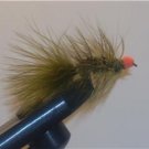 Egg Sucking Leech