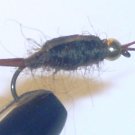 Bead Head Stone Fly