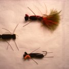 Crickets