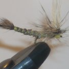 Extended Brown Drake