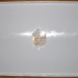 GENUINE APPLE iBOOK G3 G4 12" LCD SCREEN TOP COVER LID