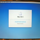 APPLE MAC WHITE iBOOK G3 G4 14" MATTE LCD SCREEN LTN141XF-L04