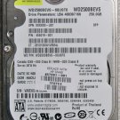 HP PAVILION TX1000 TX1200 TX1300 SERIES 250GB HDD HARD DRIVE 457061 455019 5400RPM
