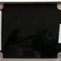 OEM DELL XPS M1210 HD HARD DRIVE CADDY DT004 / 0DT004