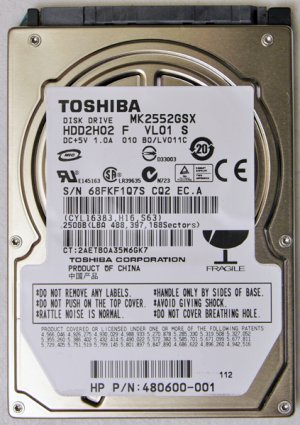 HP PAVILION DV2000 DV2500 DV2700 250GB 5400RPM HD HARD DRIVE MK2552GSX 480600