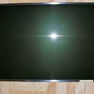 OEM HP PAVILION DV9000 DV9500 DV9700 17" GLOSSY SAMSUNG LCD SCREEN LTN170X02 L02