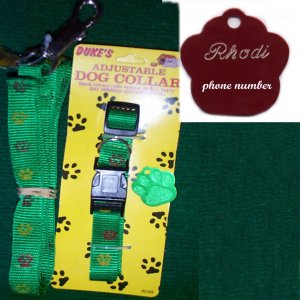 Engraved Green Paw Dog Tag with matching collar & leash