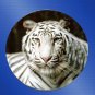 Personalized Photo Pin Back Button - Kids, Pets, Wedding